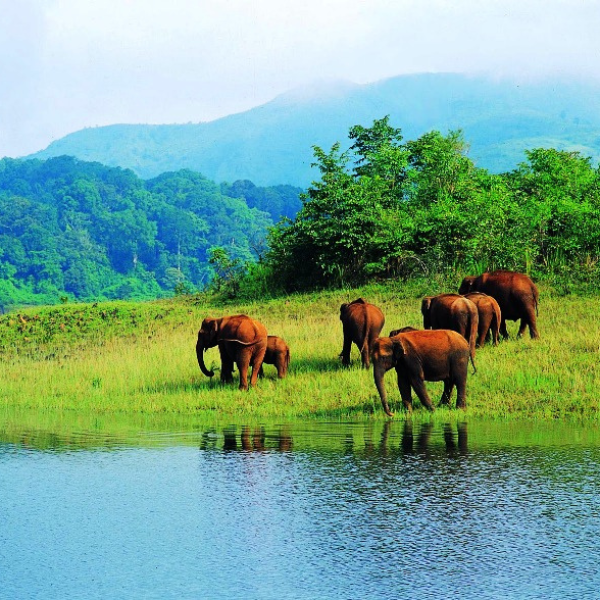 Thekkady