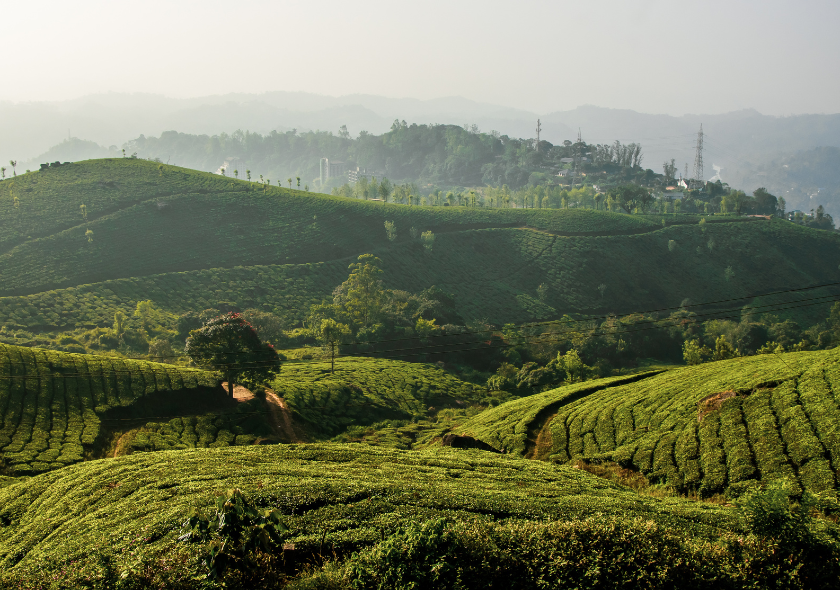 Munnar